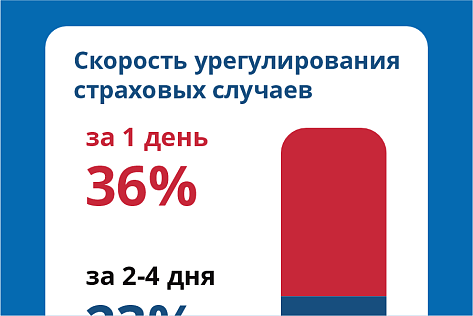 ОСАГО в Новороссии. Выплаты: январь 2025