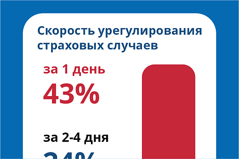 ОСАГО в Новороссии. Выплаты. Март 2025